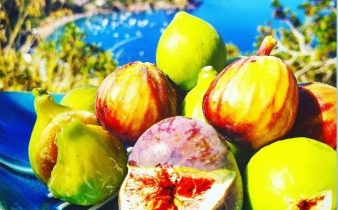 Fichi del mediterraneo