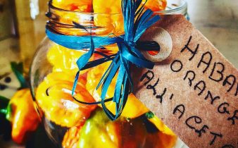 Habanero Orange